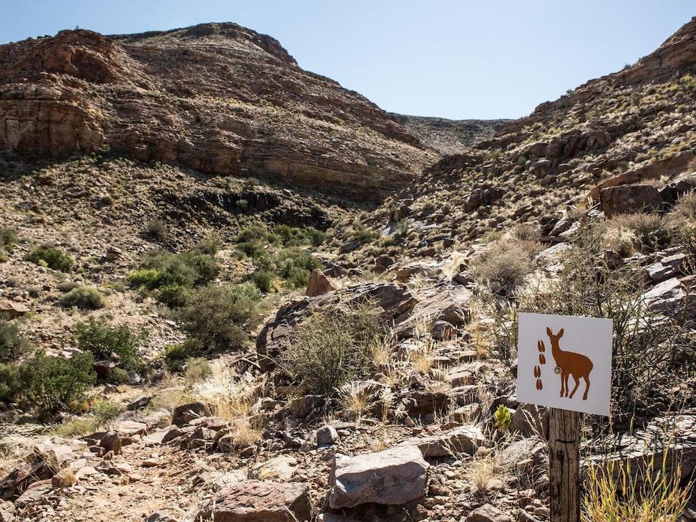 Canyon Village Stamprivier エクステリア 写真